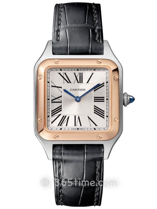 Replica Santos 904l Stainless Steel Quartz Movement Watch 27mm/31mm-1