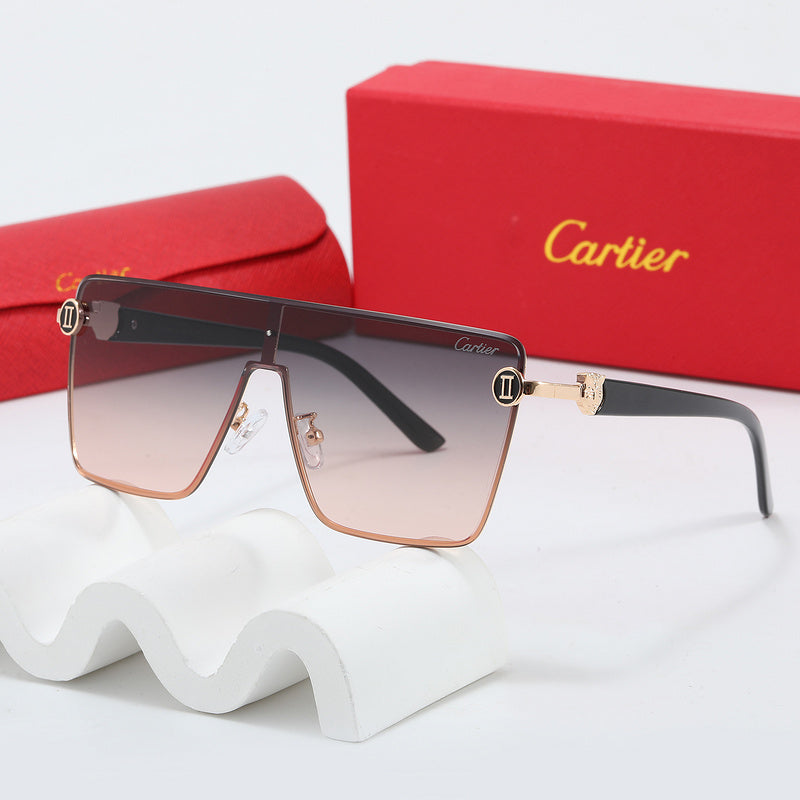 Fashion Sunglasses—110345s-sss-12