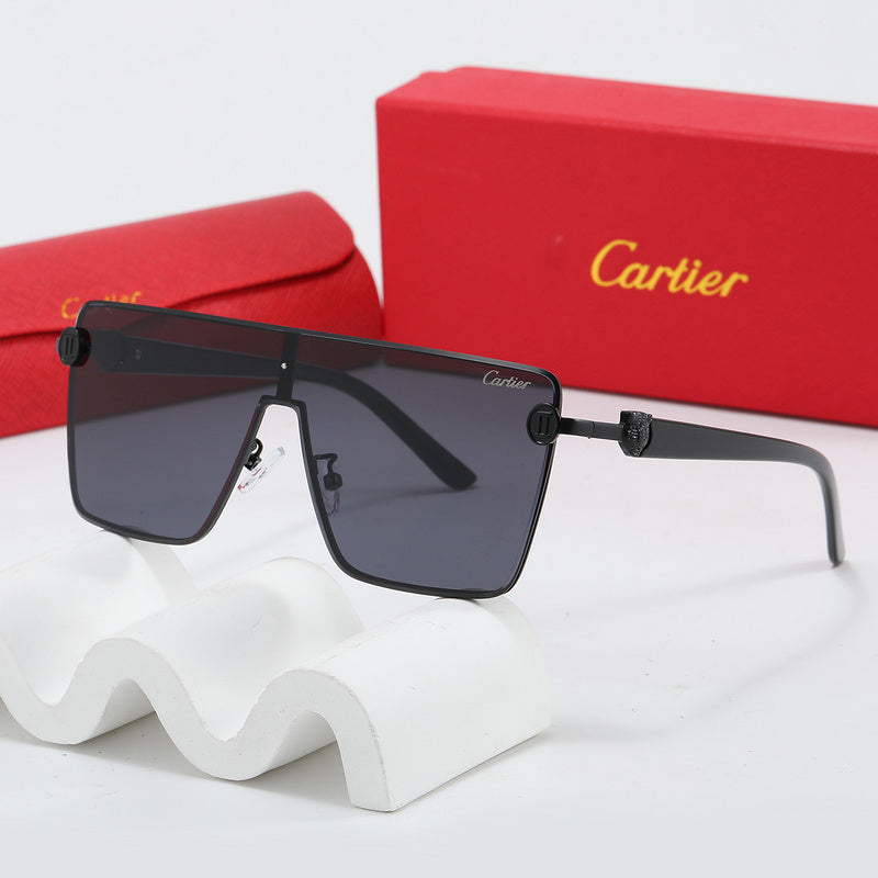 Fashion Sunglasses—110345s-sss-12