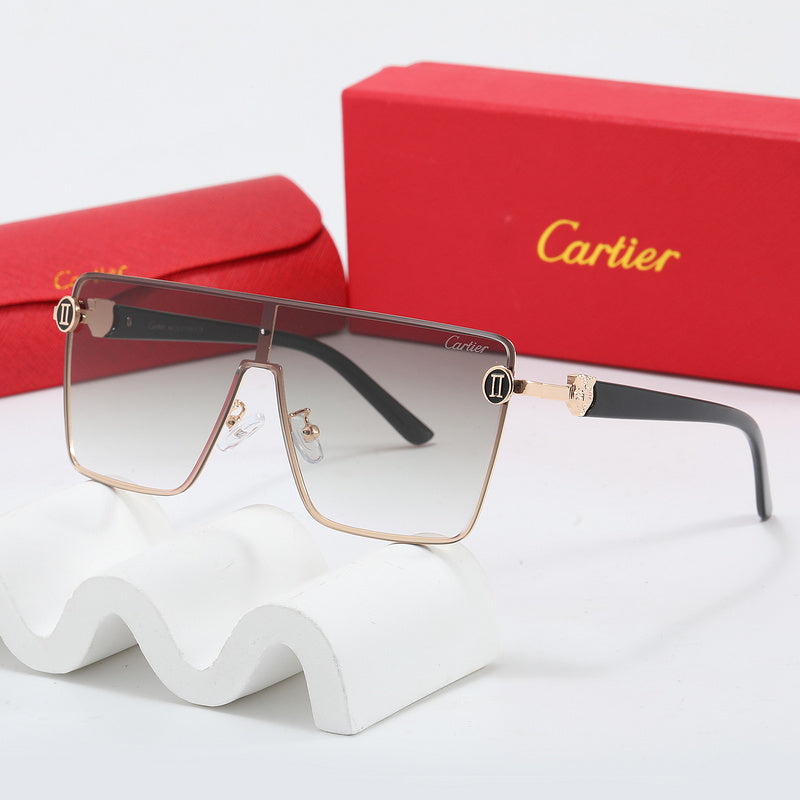 Fashion Sunglasses—110345s-sss-12