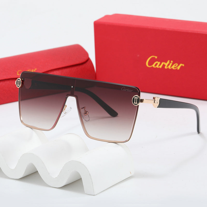 Fashion Sunglasses—110345s-sss-12