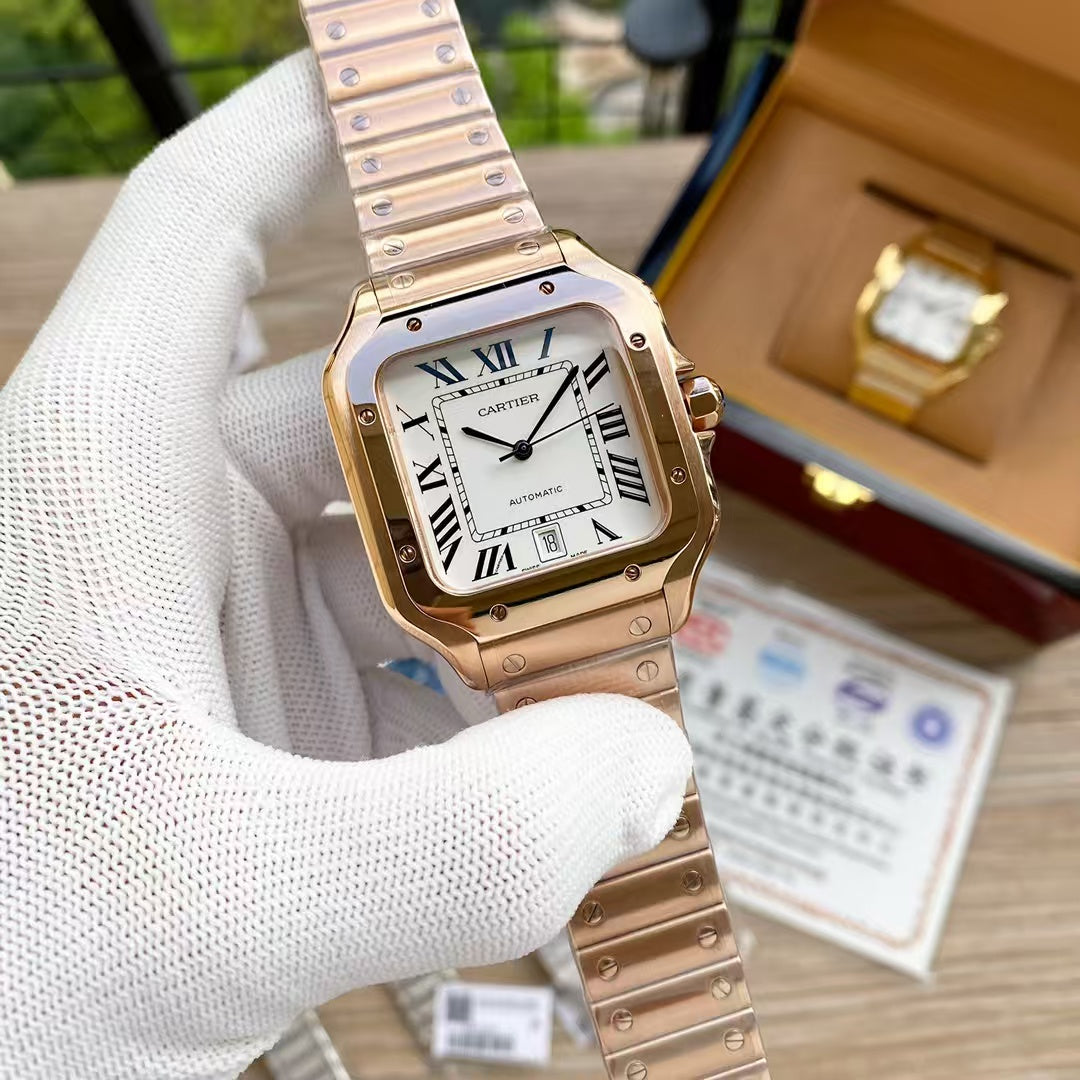 Replica Santos 904l Stainless Steel Automatic Mechanical Watch 39mm/35mm WGSA0007-1