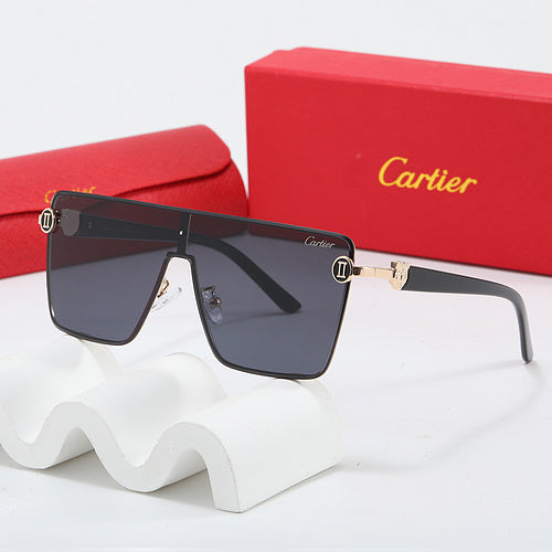 Fashion Sunglasses—110345s-sss-12